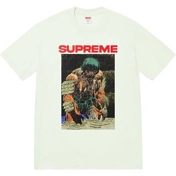 Supreme Ronin Tee T-shirts Mintgroen | BE353EX